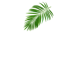 Mahorahora-gula-aren-leaf-3
