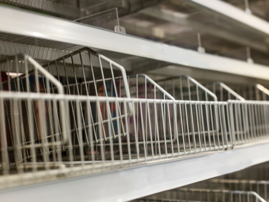 mahorahora-susu-beruang-langka-dipasaran-apa-pembeda-nya