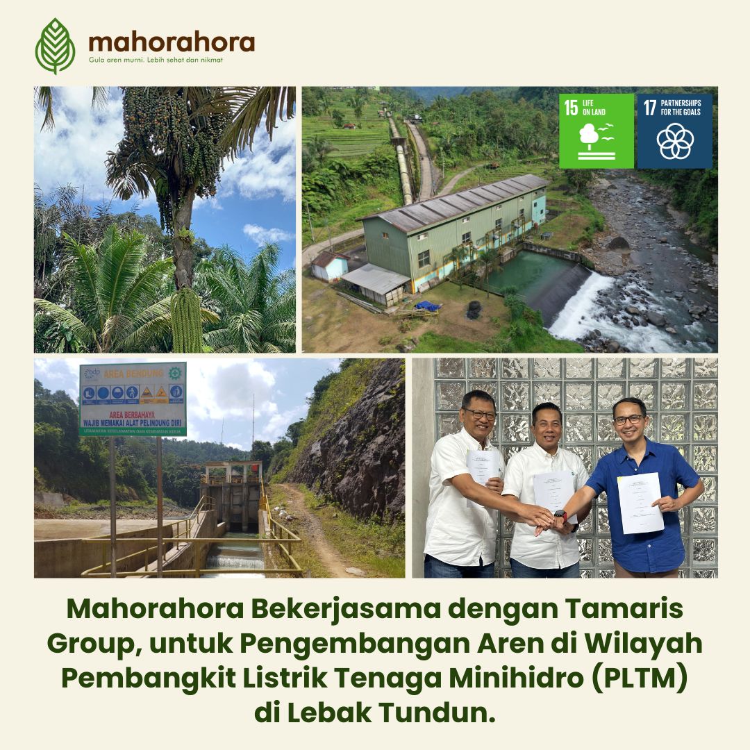 mahorahora-tamaris-hydro