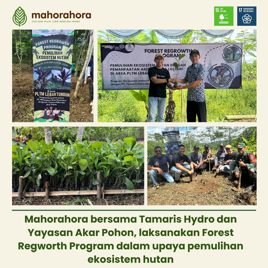 mahorahora-forest-regrowth-camat-panggarangan-lebaktundun